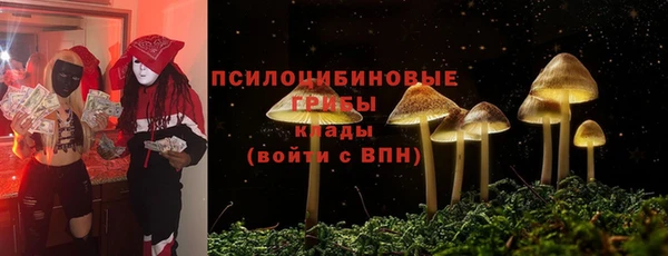 шишки Богородицк