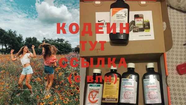 шишки Богородицк