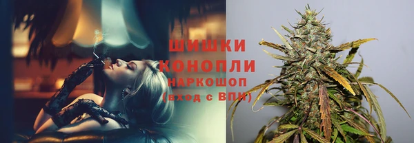 гашик Богданович