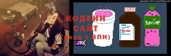 гашик Богданович