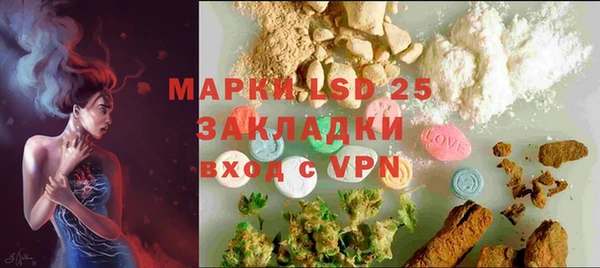 шишки Богородицк