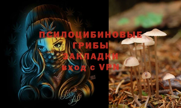 твердый Волосово