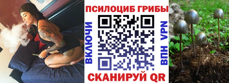 ссылка на мегу зеркало  Верхоянск  Псилоцибиновые грибы мицелий 